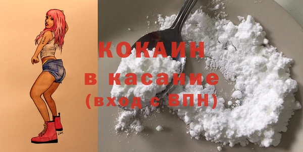 спайс Ельня